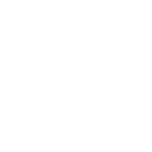 Google White Icon