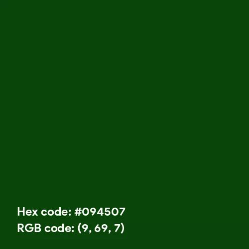 Dark Royal Green (Hex code: 094507) Color Thumbnail
