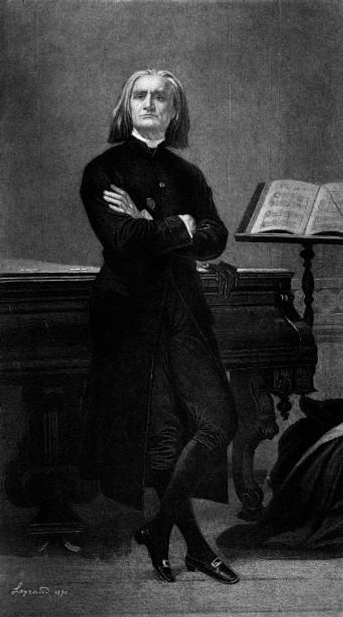 franz liszt (xxxl) - franz liszt stock illustrations