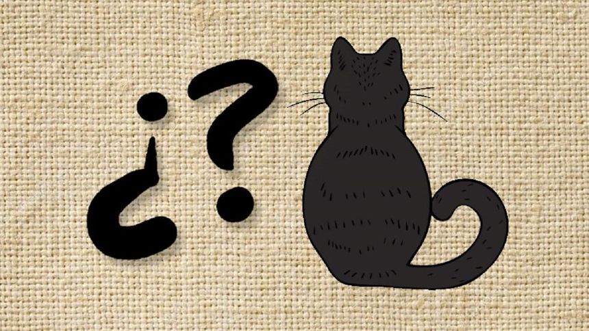 De dónde viene la expresión 'Buscar tres pies al gato'.