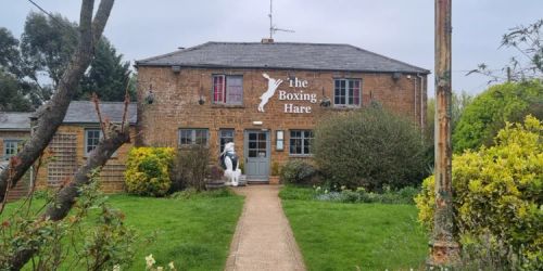 The Boxing Hare