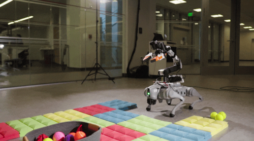 从零搭建你的机械狗！具身智能四足机器人开源项目汇总