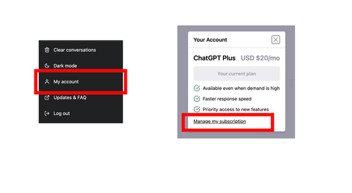 ChatGPT Plus Manage my subscription