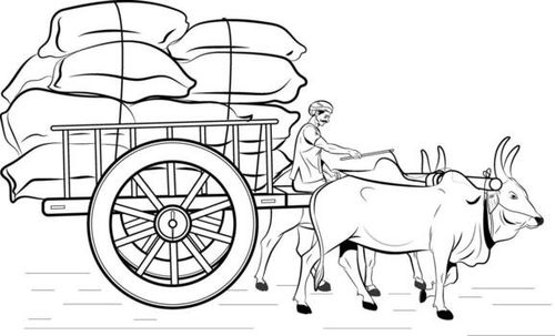 Indian Bullock Cart, farmer riding a bullock cart Indian village, Hand drawn in thin line style vector