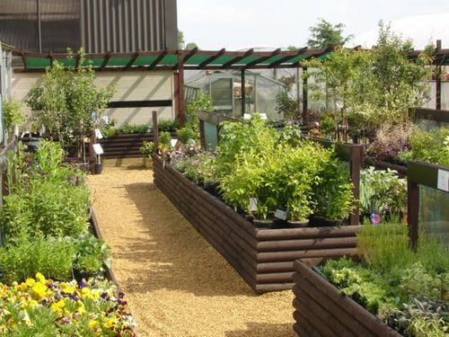 Barn Farm Plants
