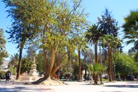 Copiapó - Wikipedia