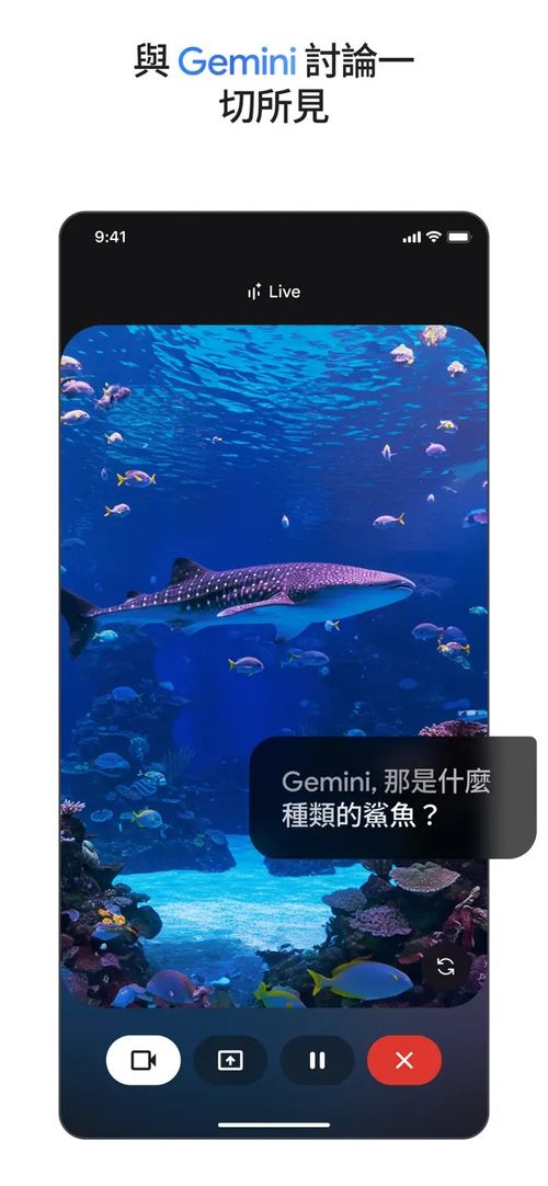 google gemini截图4