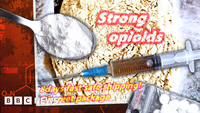 Deadly opioids smuggled into UK in dog food, BBC learns