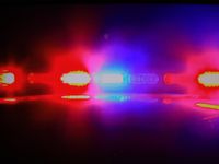 Witness says victim was dancing and taking photos moments before deadly tiger encounter - Cleveland.com