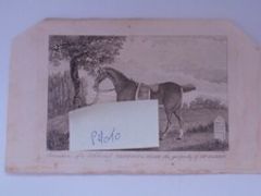 A Trotting Mare,  Original Vintage Etching   Print Johnson c 19th cent