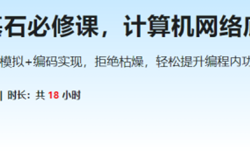 程序员基石必修课，计算机网络底层原理