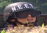 photos 1123512 neet