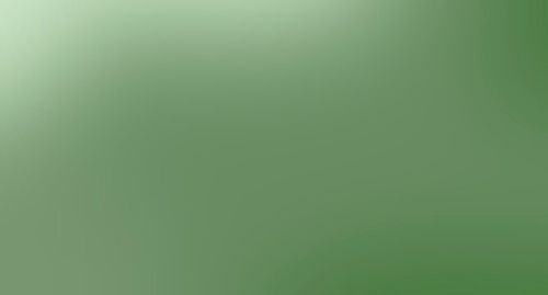 Green of Sage color gradient backgrond and wallpaper