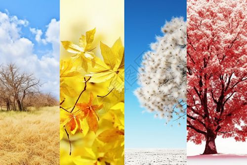 春夏秋冬四季拼贴图图片