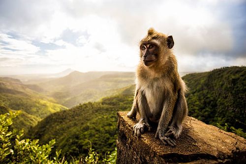  Top Places to Visit in Mauritius