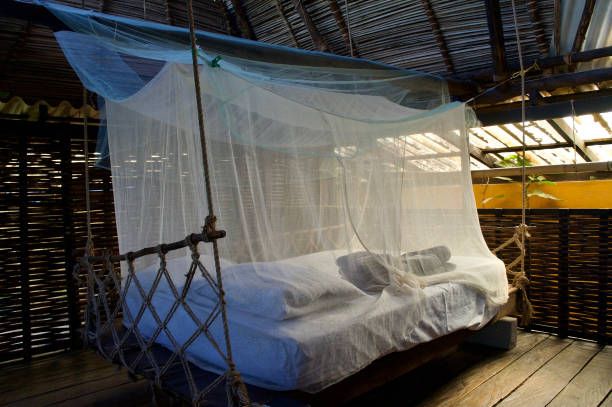 Mosquito Nets