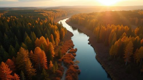 Create your own she image with Canva