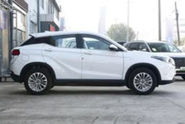 Load image into Gallery viewer, RHD Car SERES Landian E3