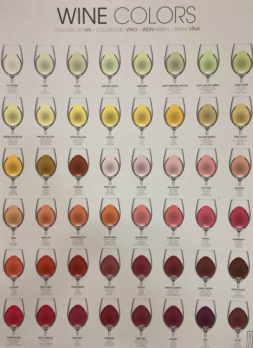r/wine - Cool color chart.