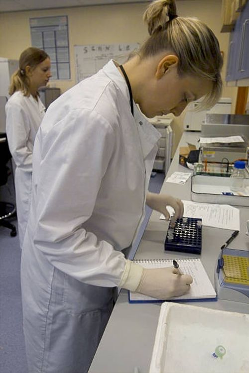 Research assistant Jessica Cooke, foreground, and Bachelor of Science student Claire Emery work in the stem cell research laboratory at King's...