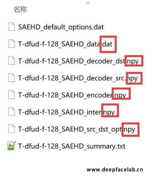 DeepFaceLab3：白嫖模型如何使用？