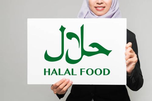 Halal certification concept. Sign of halal food. Halal certification concept. Sign of halal food. halal stock pictures, royalty-free photos & images
