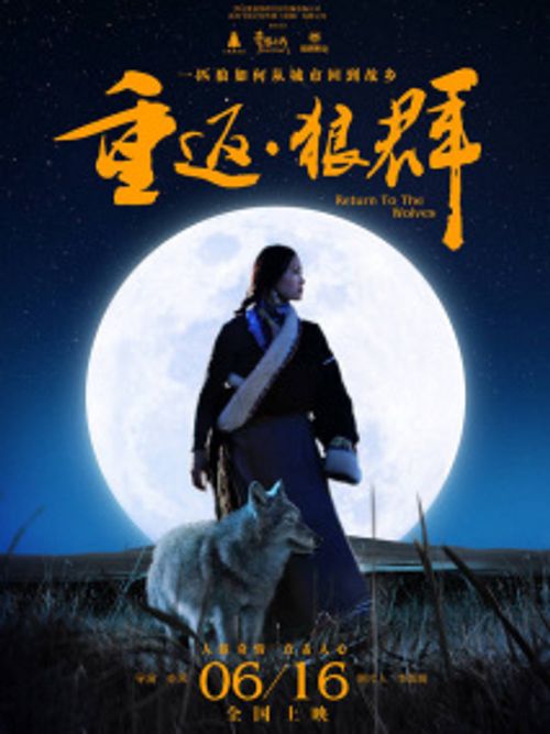 《重返·狼群》自然电影