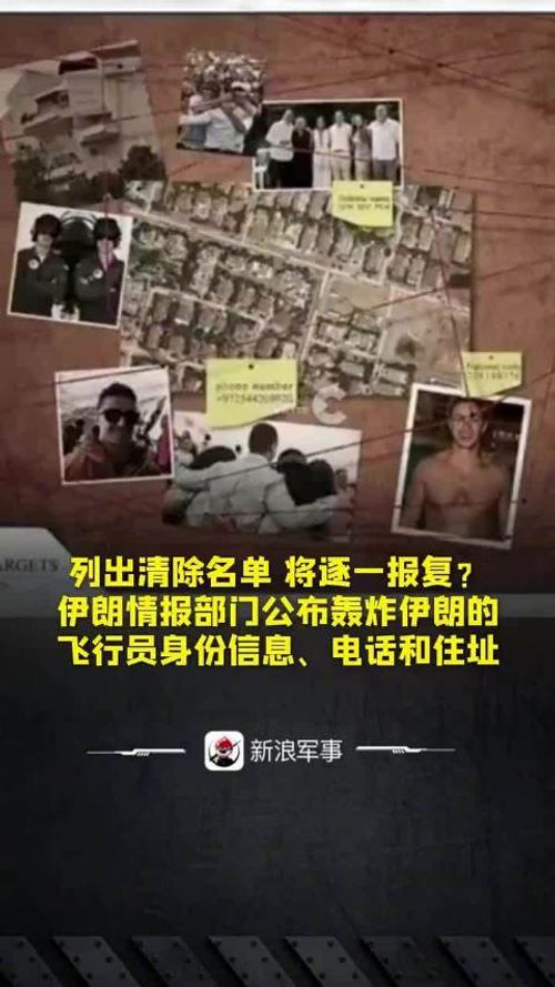 伊朗公布飞行员信息