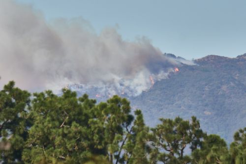 palisades fire early 20240107