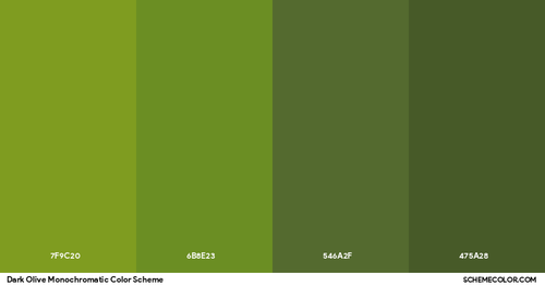 Download PNG image of Dark Olive Monochromatic Color Scheme