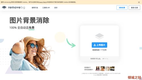 Remove Background from Image – remove.bg 倾城之链