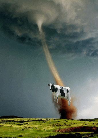 Tornado GIFs - 150 Moving GIF Pics of Tornadoes