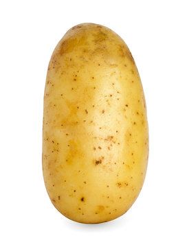 Potato