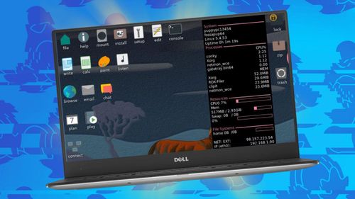 Linux distro on a penguin blue background.