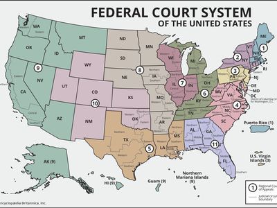 United States federal court system