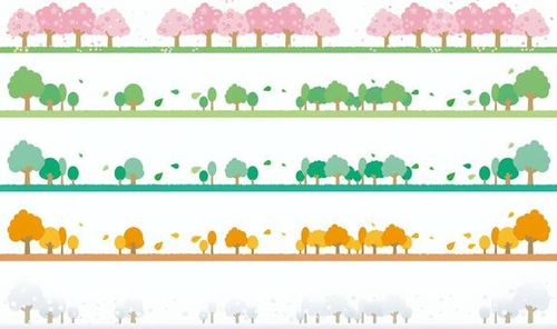 四季の並木道ライン 囲み線,春夏秋冬,並木道,若葉,四季,バリエーション,新緑,飾り線,素材,雪景色のイラスト素材