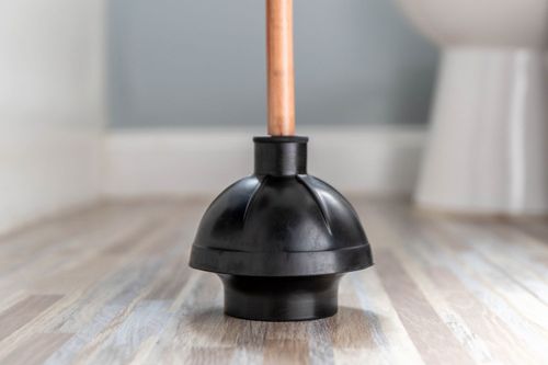  wc plunger