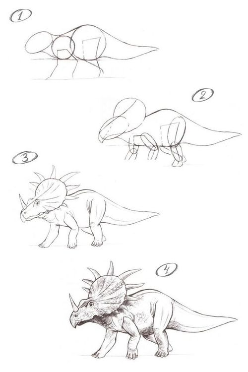 Step-by-step drawing tutorial of a triceratops, from basic shapes to detailed dinosaur illustration.