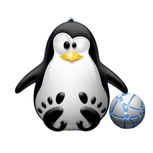 Step-by-step Ubuntu 20.04 Realtek rtl8188ee Driver Installation Guide - Featured