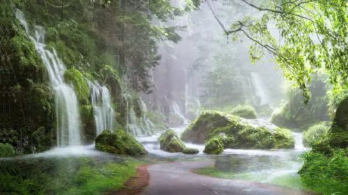 Flowing waterfall in forest
