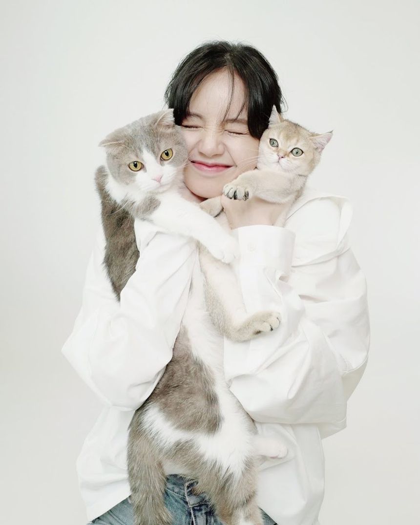 lisa cats