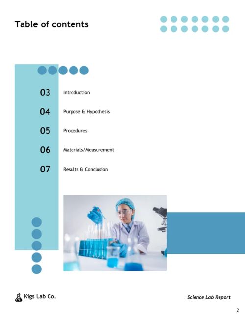 Lab Report Template - Page 2