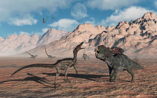 a predatory velociraptor stalking a pair of protoceratops. - dinosaur fight stock illustrations
