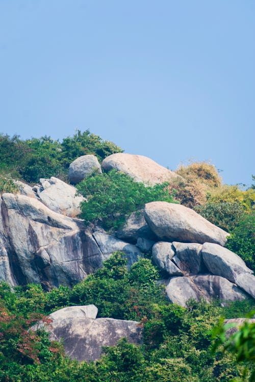 Free Photograph of a rocky hill covered with greenery under a clear blue sky, showcasing nature's beauty. Stock Photo