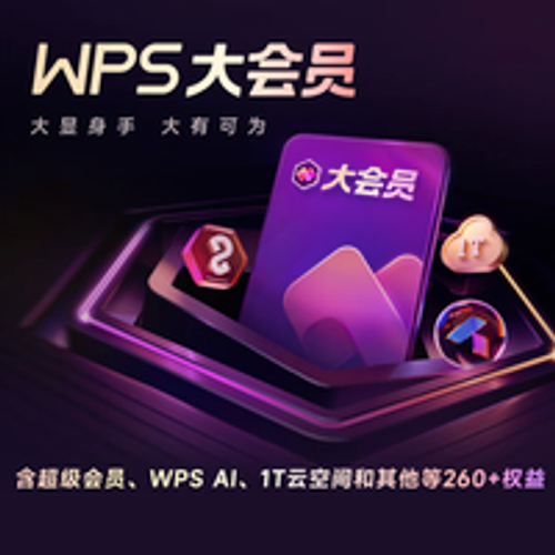 金山软件 WPS 大会员2年卡