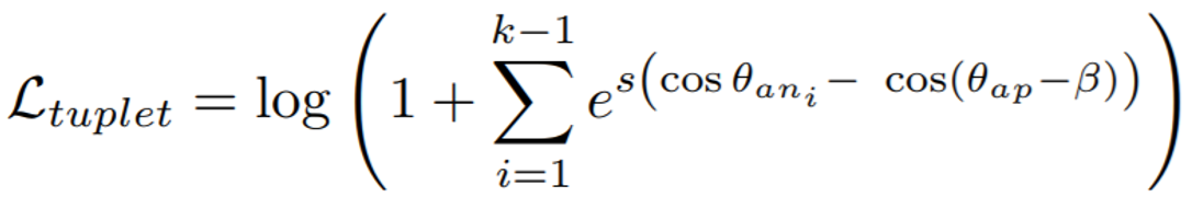 tuplet_margin_loss_equation