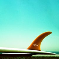 Surfboards | New & Used Surfboards for Sale