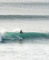 Lush Palm // Luxury Surf Trips & Surf Retreats
