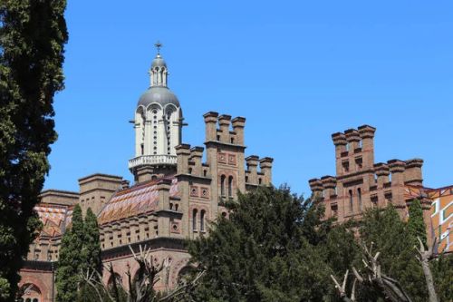 Chernivtsi National University
