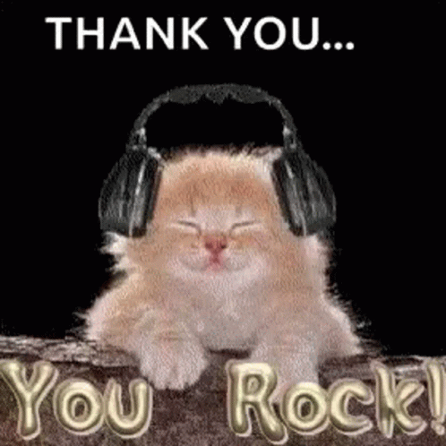 Funny Thank You You Rock Cat GIF